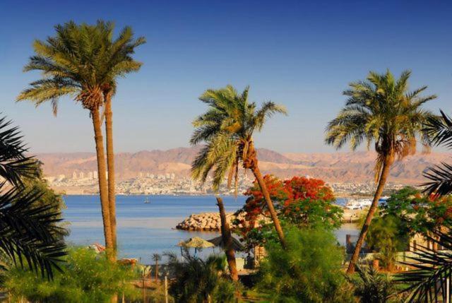 La Riva Hotel Aqaba Luaran gambar